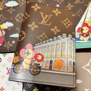 Passport bag