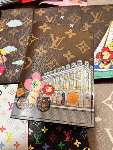 Passport bag