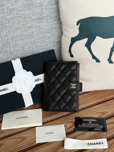 Passport bag