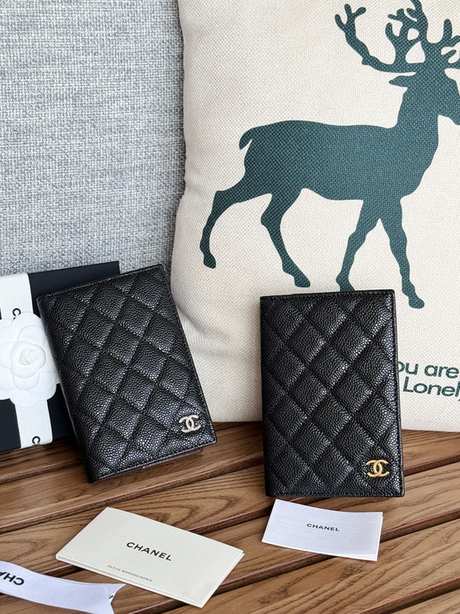 Passport bag