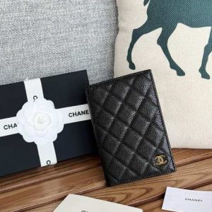 Passport bag