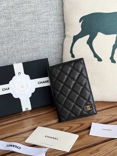 Passport bag
