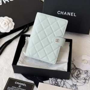 Passport bag