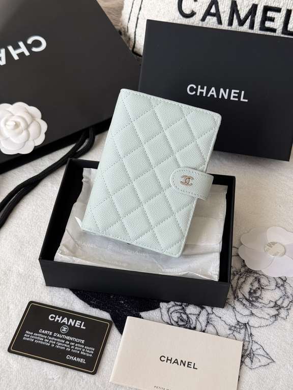 Passport bag