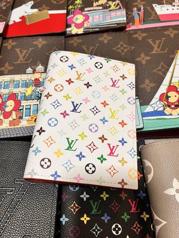 Passport bag