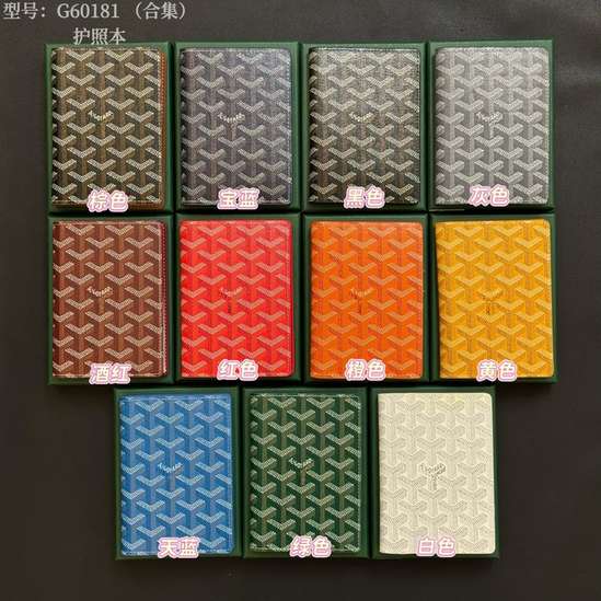 Passport bag