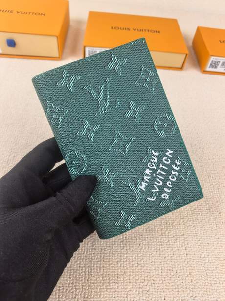 Passport bag