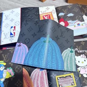 Passport bag