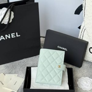 Passport bag