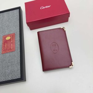 Passport bag
