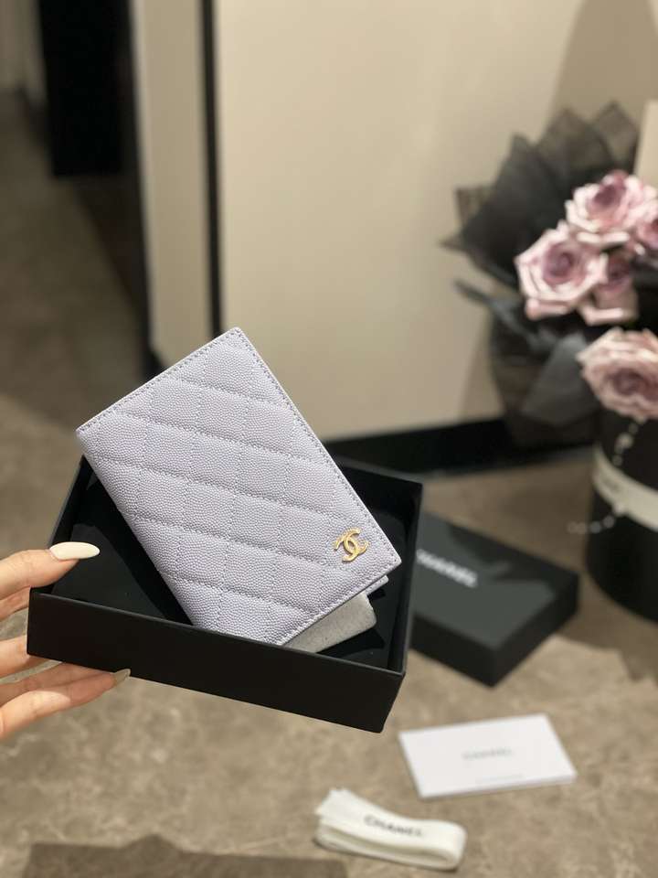 Passport bag