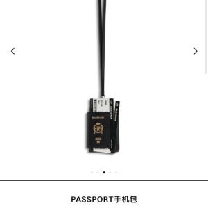 Passport bag