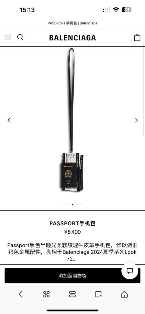 Passport bag