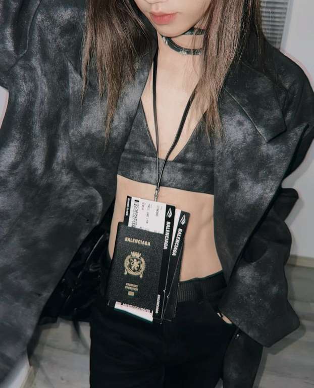 Passport bag