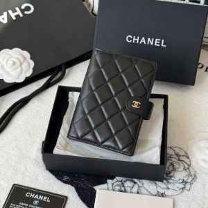 Passport bag