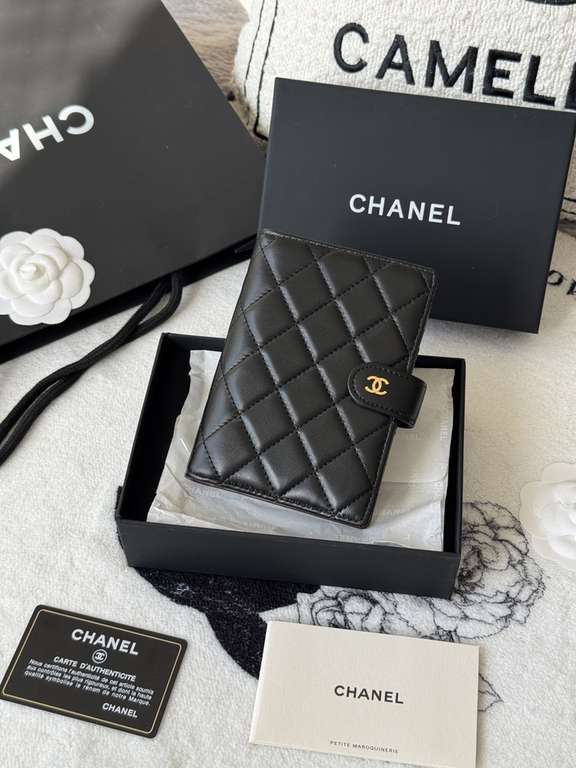 Passport bag