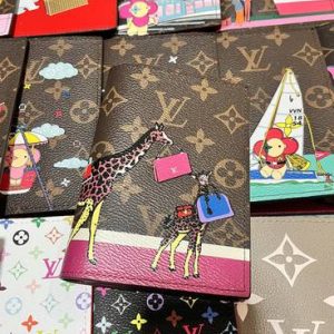 Passport bag