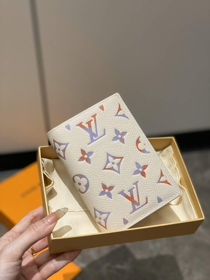Passport bag