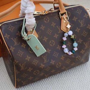 Passport bag