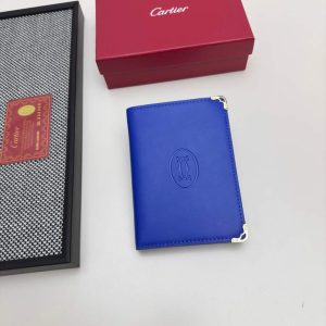 Passport bag