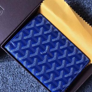 Passport bag