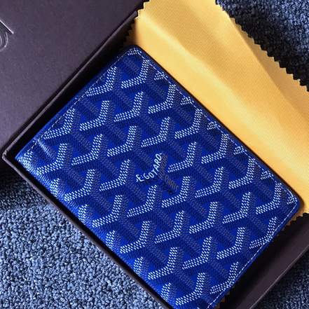 Passport bag