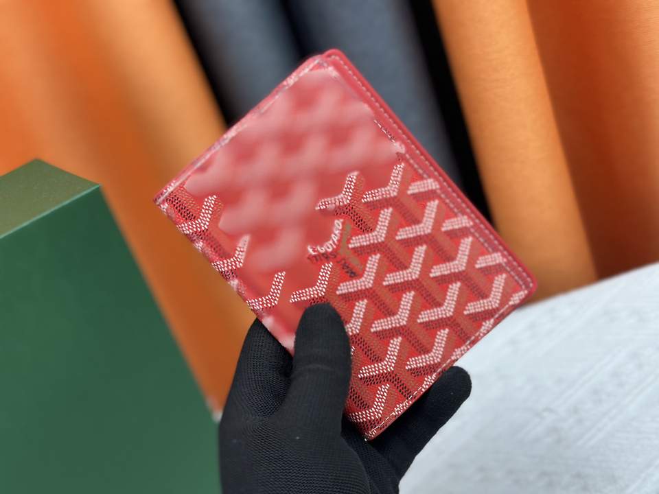Passport bag