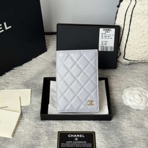 Passport bag
