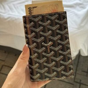 Passport bag