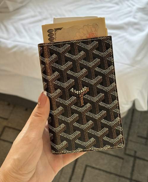 Passport bag