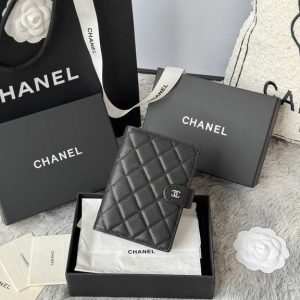 Passport bag