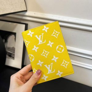 Passport bag