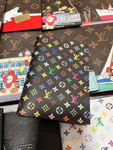 Passport bag