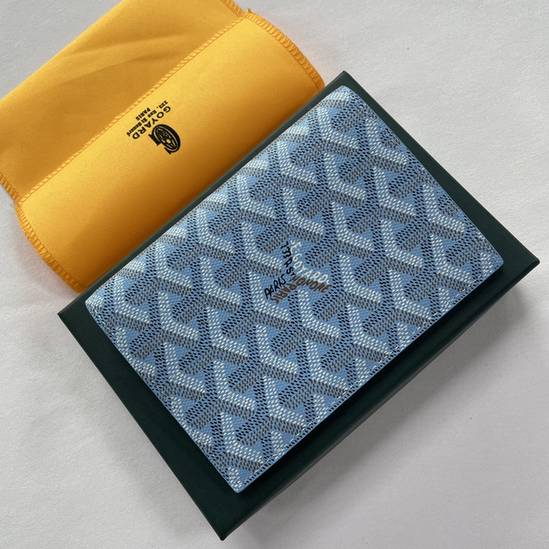 Passport bag