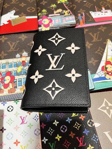 Passport bag