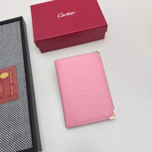 Passport bag